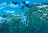 サンシャイン水族館に投稿された画像（2023/9/17）