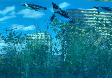 サンシャイン水族館に投稿された画像（2023/9/17）