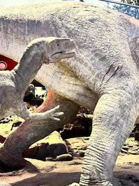 福井県立恐竜博物館に投稿された画像（2023/9/17）