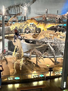 福井県立恐竜博物館に投稿された画像（2023/9/17）