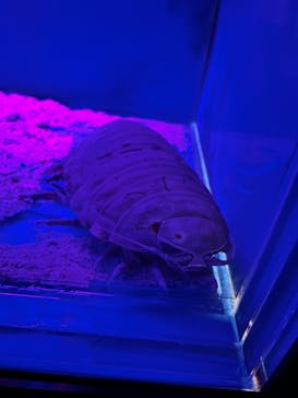 越前松島水族館に投稿された画像（2023/9/17）