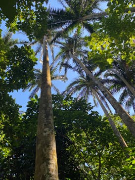 石垣島アドベンチャーフォトツアーKIBOUに投稿された画像（2023/9/17）