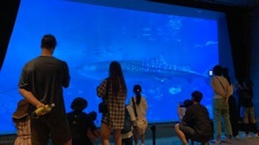 沖縄美ら海水族館に投稿された画像（2023/9/17）