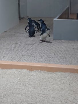 AOAO SAPPOROに投稿された画像（2023/9/17）