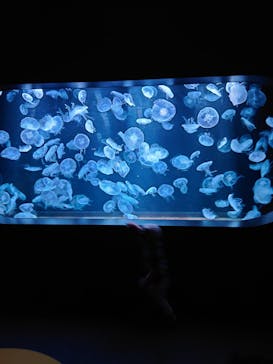 AOAO SAPPOROに投稿された画像（2023/9/17）