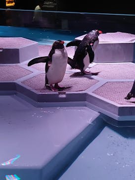 AOAO SAPPOROに投稿された画像（2023/9/17）