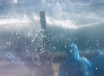 鴨川シーワールドに投稿された画像（2023/9/17）