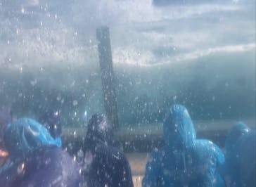 鴨川シーワールドに投稿された画像（2023/9/17）