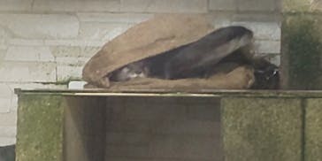 越前松島水族館に投稿された画像（2023/9/17）