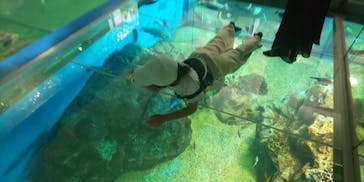 越前松島水族館に投稿された画像（2023/9/17）