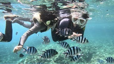 沖縄マリンサービス碧に投稿された画像（2023/9/17）