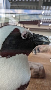 京都鉄道博物館×京都水族館に投稿された画像（2023/9/17）