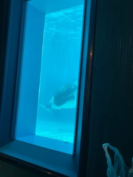 鴨川シーワールドに投稿された画像（2023/9/17）