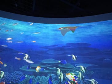 鴨川シーワールドに投稿された画像（2023/9/17）