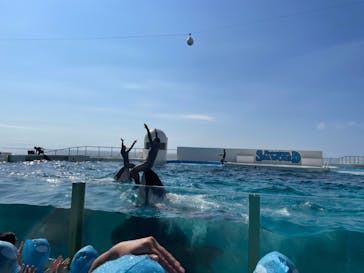 鴨川シーワールドに投稿された画像（2023/9/17）