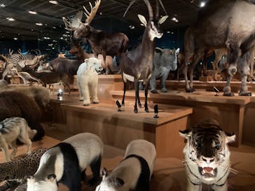 国立科学博物館に投稿された画像（2023/9/17）