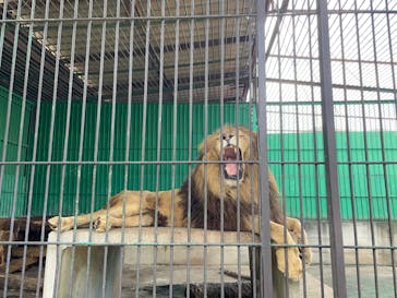 東北サファリパークに投稿された画像（2023/9/17）