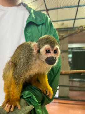 那須ワールドモンキーパークに投稿された画像（2023/9/17）