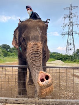 那須ワールドモンキーパークに投稿された画像（2023/9/17）