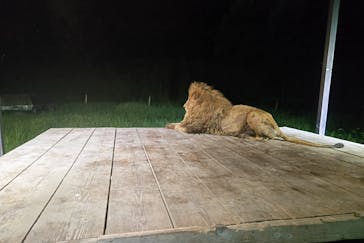 那須サファリパークに投稿された画像（2023/9/17）