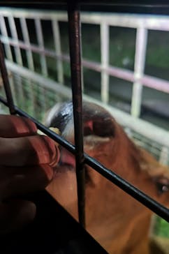 那須サファリパークに投稿された画像（2023/9/17）