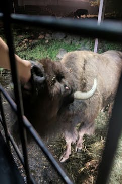 那須サファリパークに投稿された画像（2023/9/17）