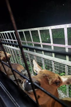 那須サファリパークに投稿された画像（2023/9/17）