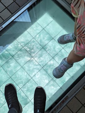 徳島県立 渦の道に投稿された画像（2023/9/17）