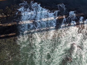 徳島県立 渦の道に投稿された画像（2023/9/17）