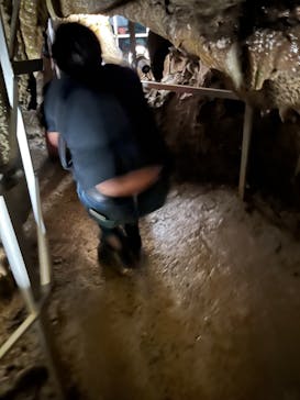 あぶくま洞に投稿された画像（2023/9/17）