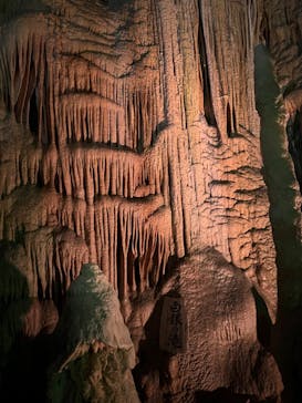 あぶくま洞に投稿された画像（2023/9/17）