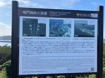 徳島県立 渦の道に投稿された画像（2023/9/17）