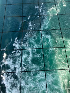 徳島県立 渦の道に投稿された画像（2023/9/17）