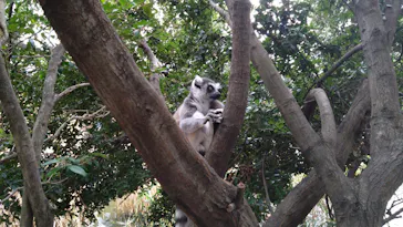 神戸どうぶつ王国に投稿された画像（2023/9/17）