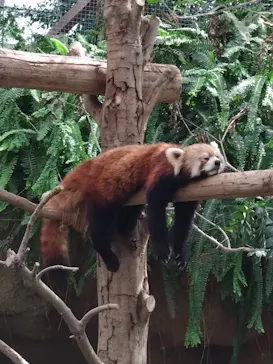 神戸どうぶつ王国に投稿された画像（2023/9/17）