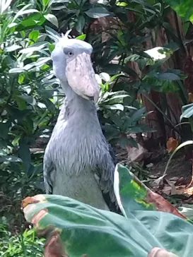 神戸どうぶつ王国に投稿された画像（2023/9/17）