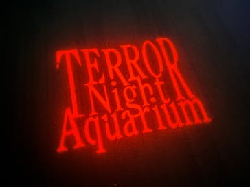 サンシャイン水族館に投稿された画像（2023/9/17）