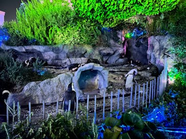 サンシャイン水族館に投稿された画像（2023/9/17）