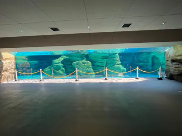 天王寺動物園に投稿された画像（2023/9/17）