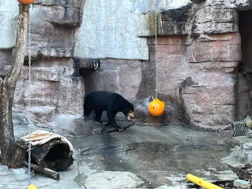 天王寺動物園に投稿された画像（2023/9/17）