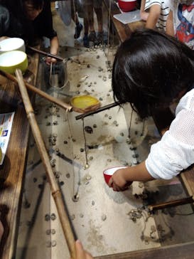 NARA IKIMONO MUSEUMに投稿された画像（2023/9/17）