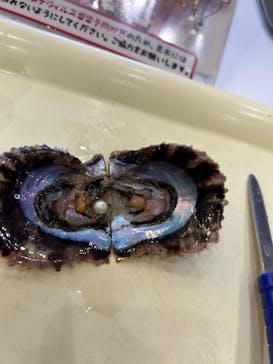 九十九島水族館海きららに投稿された画像（2023/9/17）