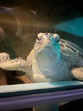 マリンワールド海の中道に投稿された画像（2023/9/17）