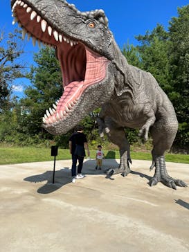 福井県立恐竜博物館に投稿された画像（2023/9/17）