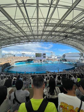 名古屋港水族館に投稿された画像（2023/9/17）