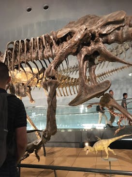 福井県立恐竜博物館に投稿された画像（2023/9/17）