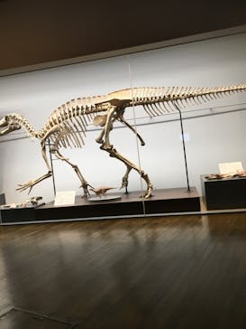 福井県立恐竜博物館に投稿された画像（2023/9/17）