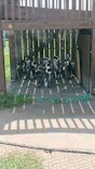 名古屋港水族館に投稿された画像（2023/9/18）