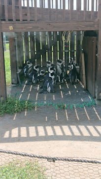 名古屋港水族館に投稿された画像（2023/9/17）