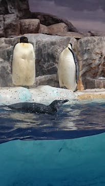 名古屋港水族館に投稿された画像（2023/9/17）